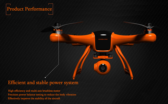wingsland-performance